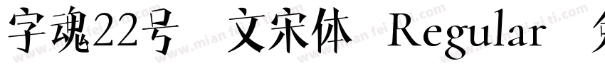 字魂22号-文宋体 Regular字体转换